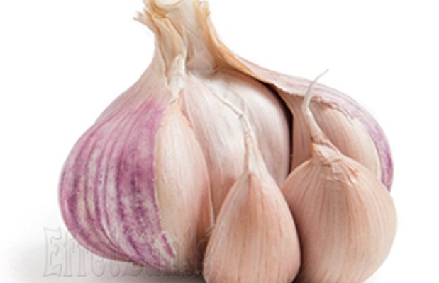 ail, santé, effet sur la santé, médecine, naturelle, naturel