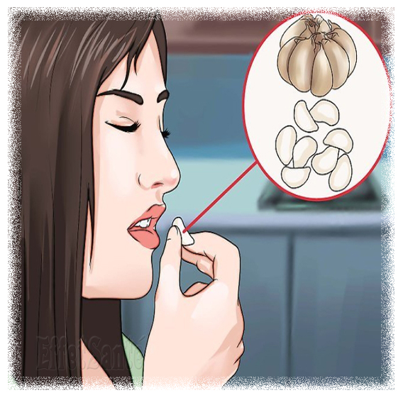 ail, santé, effet sur la santé, médecine, naturelle, naturel