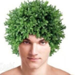 maladie de cheveux, perte de cheveux, alopécie, cuir chevelu, transplantation capillaire, chauve,transplant cheveux