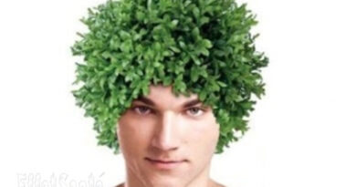 maladie de cheveux, perte de cheveux, alopécie, cuir chevelu, transplantation capillaire, chauve,transplant cheveux