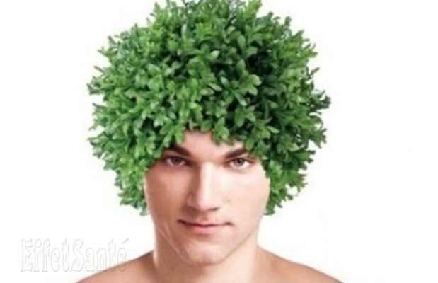 maladie de cheveux, perte de cheveux, alopécie, cuir chevelu, transplantation capillaire, chauve,transplant cheveux