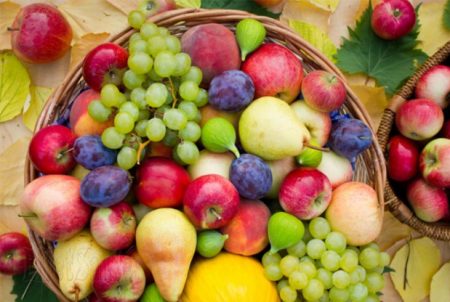 Guide canadien d'alimentation, alimentation enfant, les enfants et l'alimentation