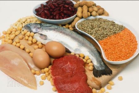 Guide canadien d'alimentation, alimentation enfant, les enfants et l'alimentation
