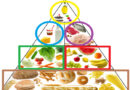 Guide canadien d'alimentation, alimentation enfant, les enfants et l'alimentation