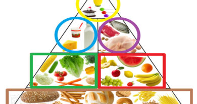 Guide canadien d'alimentation, alimentation enfant, les enfants et l'alimentation
