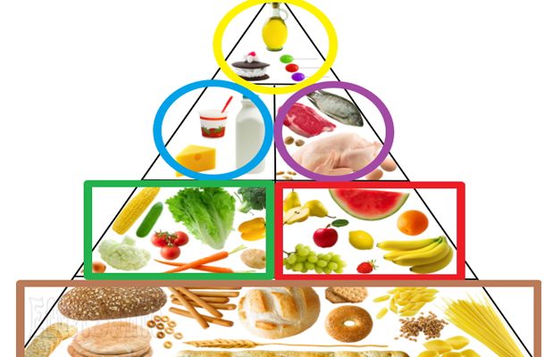 Guide canadien d'alimentation, alimentation enfant, les enfants et l'alimentation