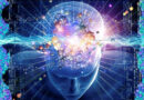 cerveau humain, cerveau, internet, information sur l''internet