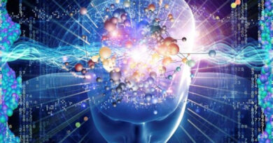 cerveau humain, cerveau, internet, information sur l''internet