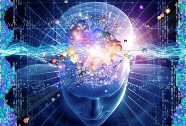 cerveau humain, cerveau, internet, information sur l''internet