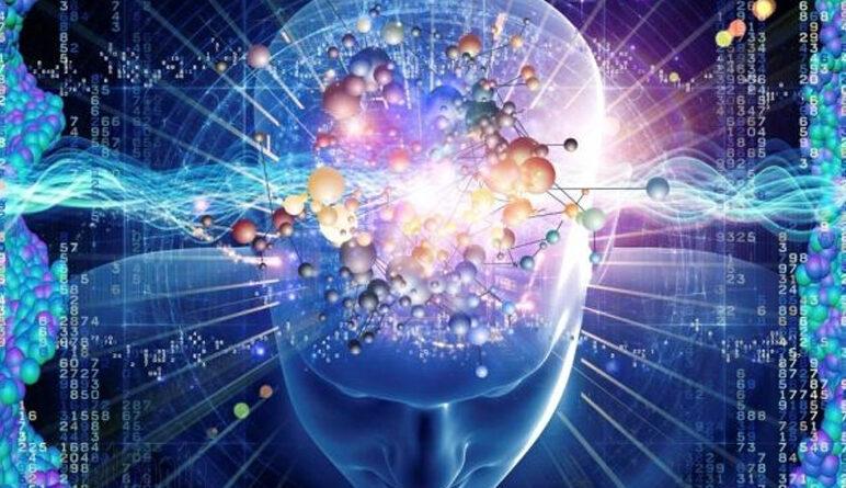 cerveau humain, cerveau, internet, information sur l''internet