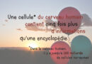 cerveau humain, cerveau, cellules nerveuses, neurones, cellules, AVC