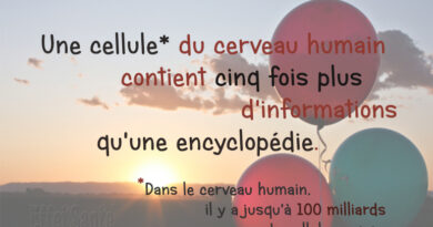 cerveau humain, cerveau, cellules nerveuses, neurones, cellules, AVC