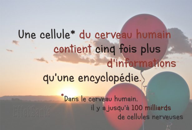 cerveau humain, cerveau, cellules nerveuses, neurones, cellules, AVC