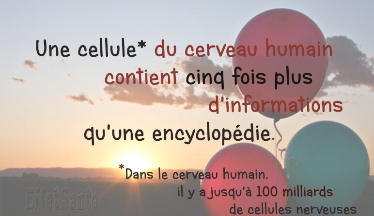 cerveau humain, cerveau, cellules nerveuses, neurones, cellules, AVC
