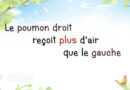 effetsanté, poumons