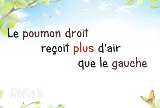effetsanté, poumons