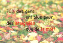 saviez-vous que, effetsanté, araignées