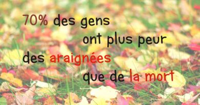 saviez-vous que, effetsanté, araignées