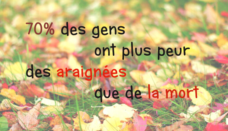 saviez-vous que, effetsanté, araignées