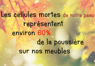 saviez-vous que, effetsanté, peau morte, cellules mortes de la peau, peau