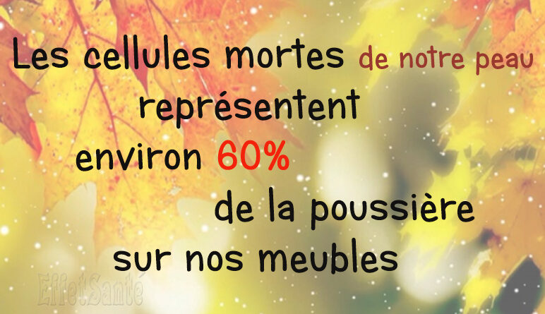saviez-vous que, effetsanté, peau morte, cellules mortes de la peau, peau