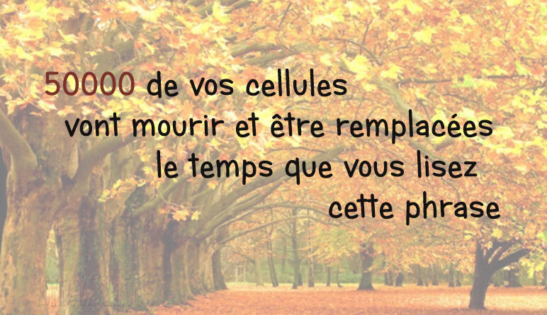 cellules, cellule humaine
