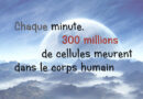 cellule, les cellules meurent, combien de cellules meurent