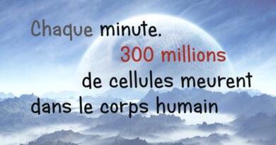 cellule, les cellules meurent, combien de cellules meurent
