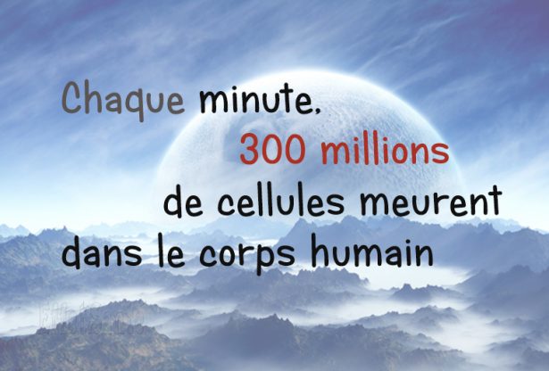 cellule, les cellules meurent, combien de cellules meurent