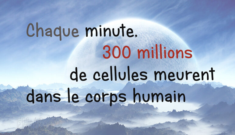 cellule, les cellules meurent, combien de cellules meurent