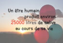 salive, combien de salive produit une personne