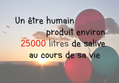 salive, combien de salive produit une personne