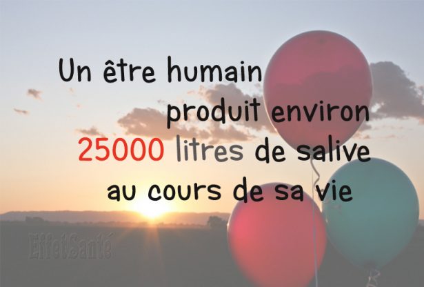 salive, combien de salive produit une personne