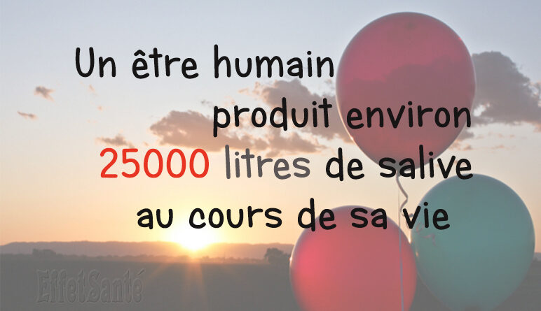 salive, combien de salive produit une personne