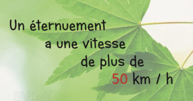 effetsanté
