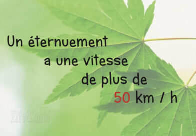 effetsanté