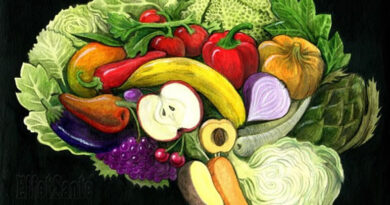 nutrition pour cerveau, quoi manger pour un cerveau en santé