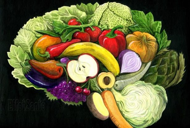 nutrition pour cerveau, quoi manger pour un cerveau en santé