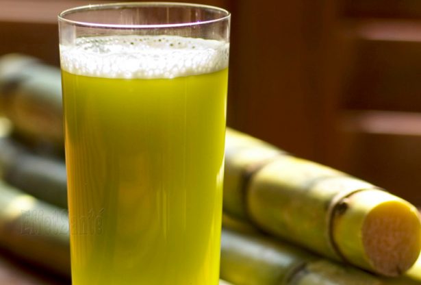 cancer, le cancer, prévenir le cancer, pas de graisse, canne à sucre