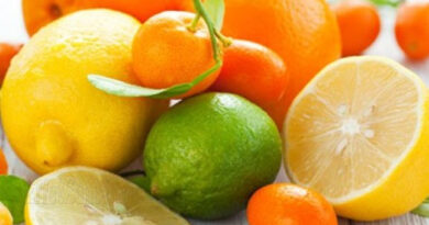 agrumes, manger des agrumes, citrons, pomelo, oranges, clémantines