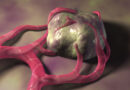cancer, substances chimiques, produits chimiques, ce que cause le cancer, le sucre et le cancer,