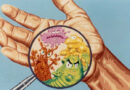 hépatite A, l'hépatite, virus hépatite A