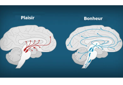 la dopamine, la tristesse, triste, malheur, bonheur, stressé, le stress, le stres, la déprime, déprimé