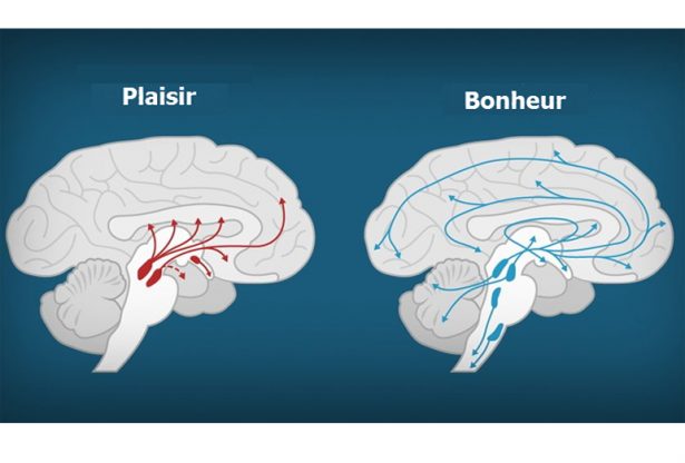 la dopamine, la tristesse, triste, malheur, bonheur, stressé, le stress, le stres, la déprime, déprimé