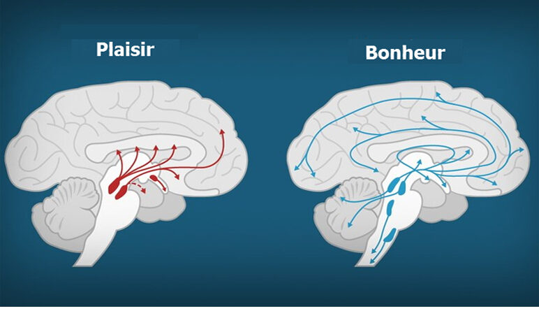 la dopamine, la tristesse, triste, malheur, bonheur, stressé, le stress, le stres, la déprime, déprimé