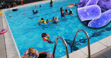 bctérie dans la piscine, bactéries, parasytes, virus, baignade