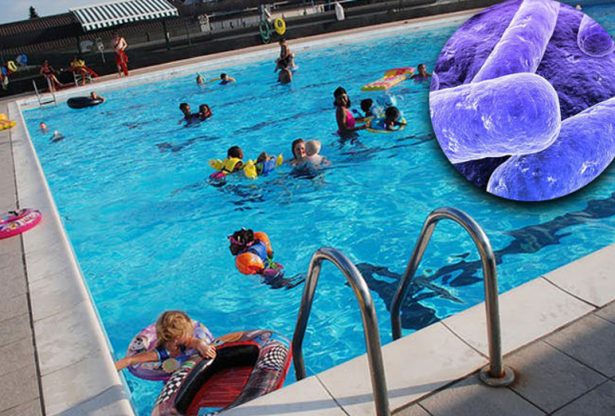 bctérie dans la piscine, bactéries, parasytes, virus, baignade