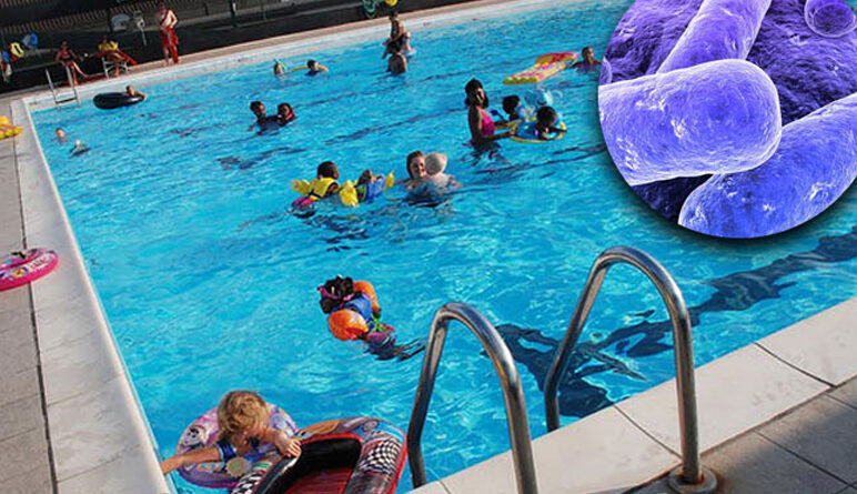 bctérie dans la piscine, bactéries, parasytes, virus, baignade