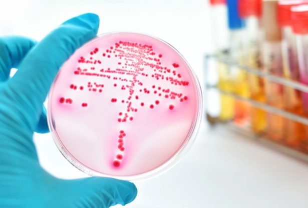 cancer, prévention du cancer, prévenir le cancer, nutrition et cancer, alimentation et cancer