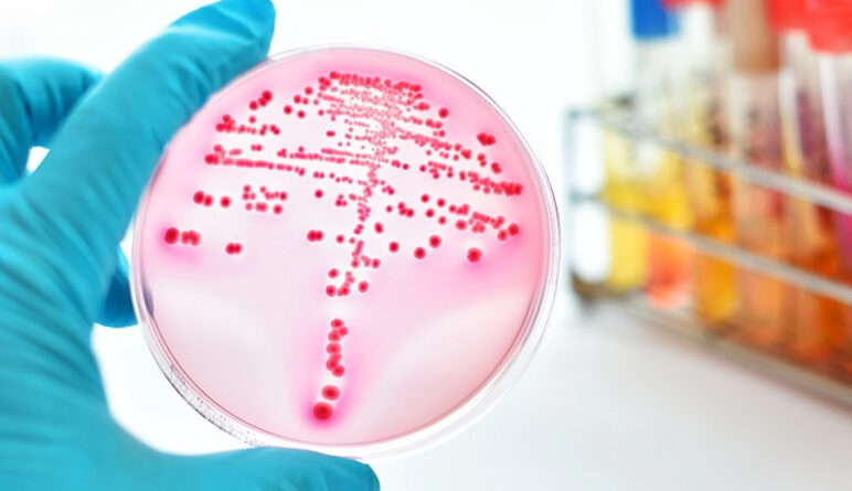 cancer, prévention du cancer, prévenir le cancer, nutrition et cancer, alimentation et cancer